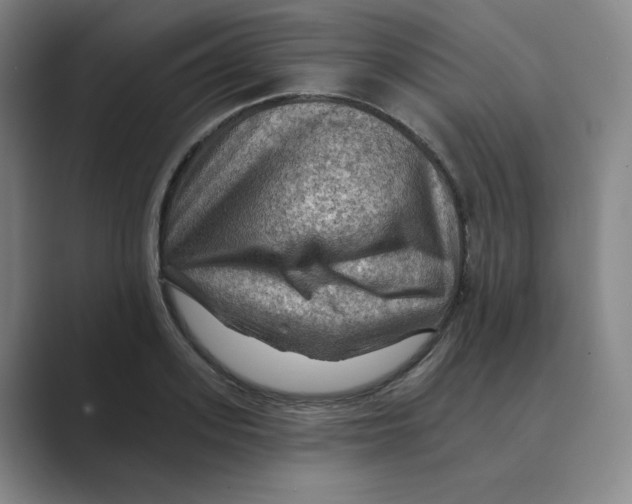 X0000088750939200706282202