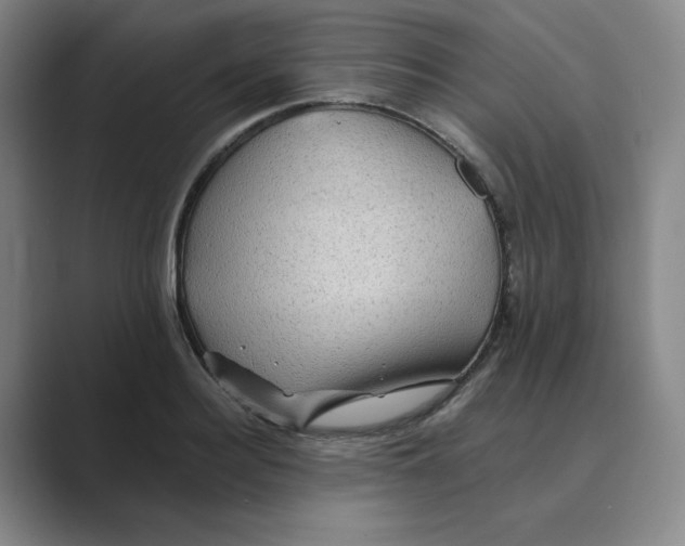 X0000088750940200706282202