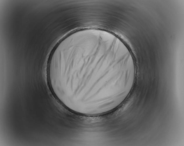 X0000088750941200706282202