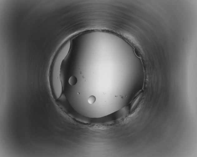 X0000088750942200706282202