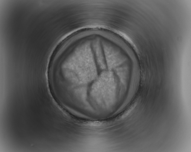 X0000088750943200706282202