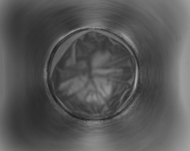 X0000088750944200706282202