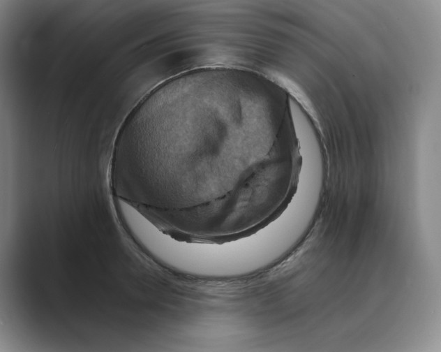 X0000088750946200706282202