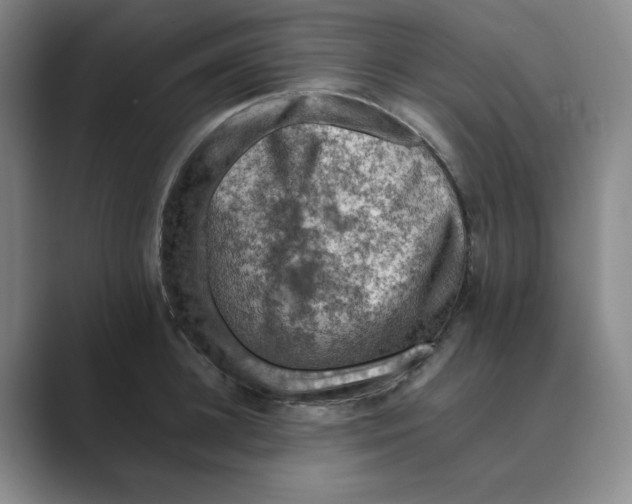 X0000088750948200706282202