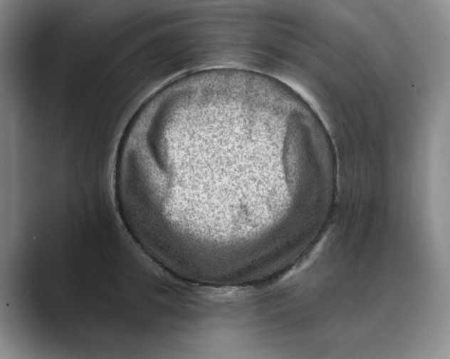 X0000088750949200706282202