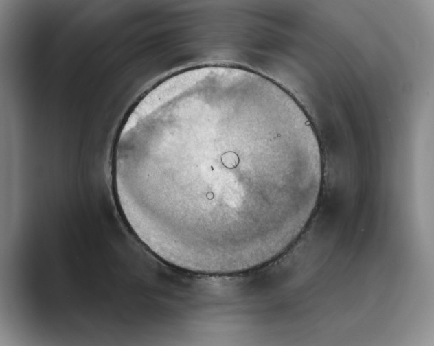 X0000088750950200706282202