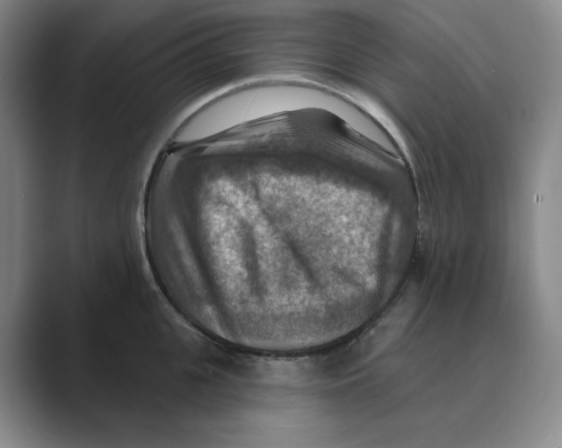 X0000088750951200706282202