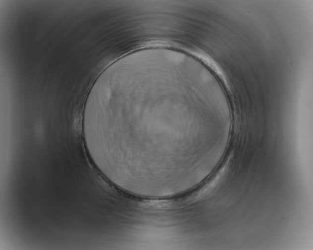 X0000088750953200706282202