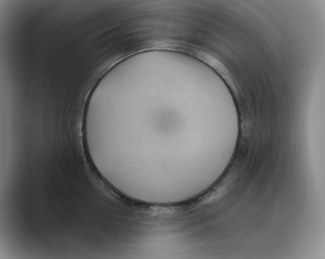 X0000088750954200706282202