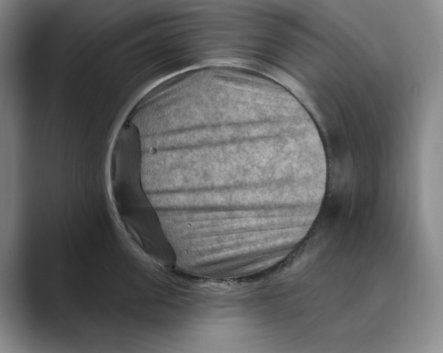 X0000088750955200706282202