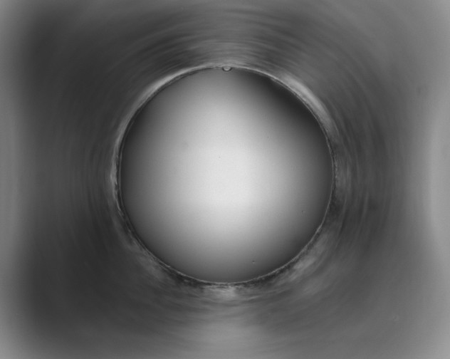 X0000088750956200706282202