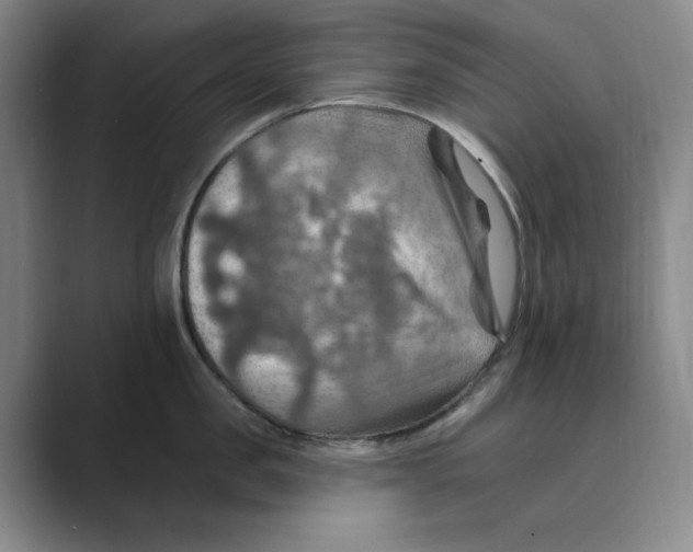 X0000088750957200706282202