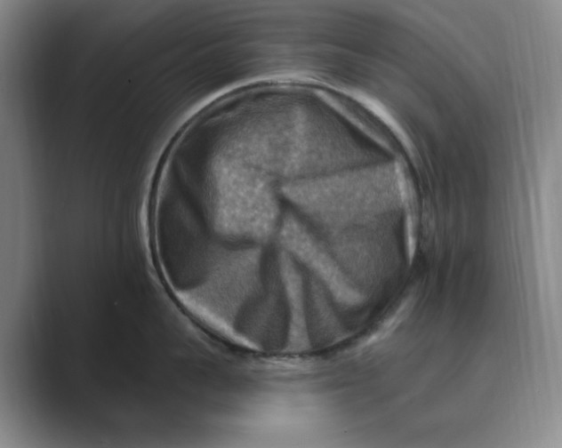 X0000088750959200706282202