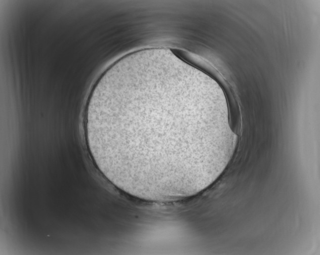 X0000088750960200706282202