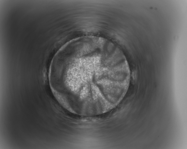 X0000088750963200706282202