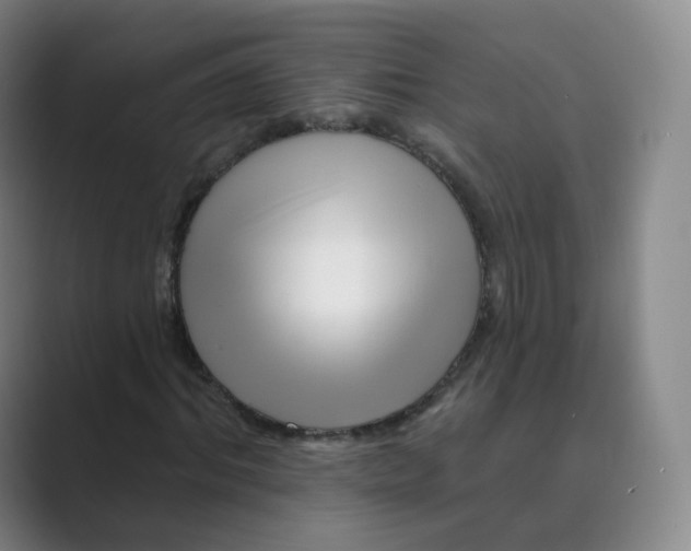 X0000088750964200706282202