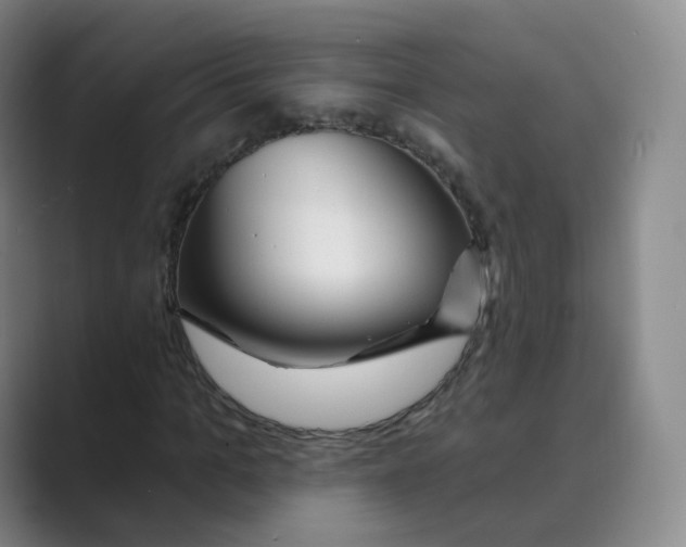 X0000088750965200706282202