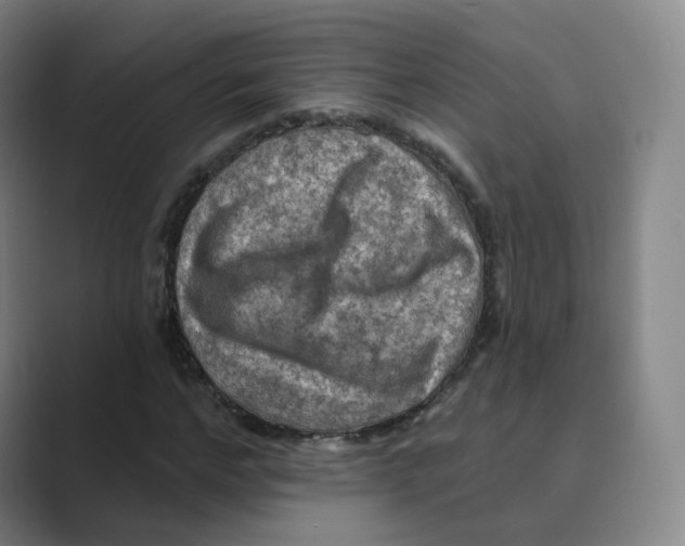 X0000088750968200706282202