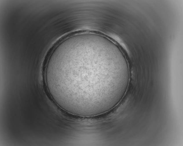 X0000088750972200706282202