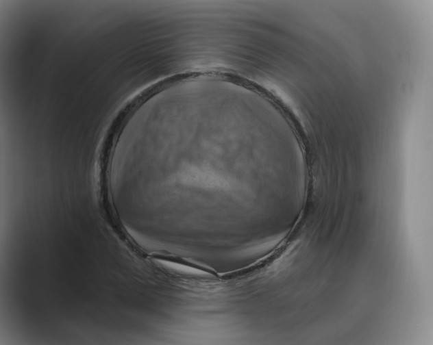 X0000088750975200706282202