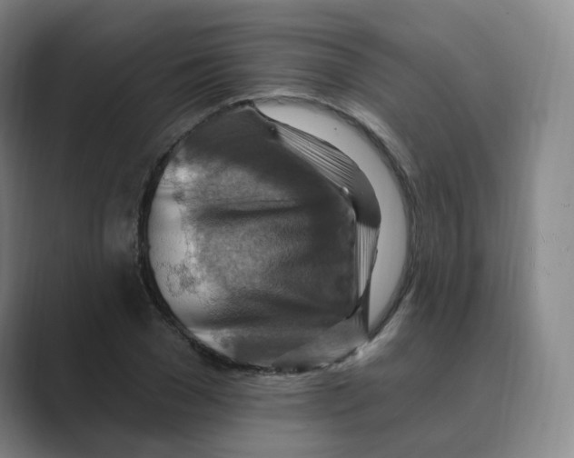 X0000088750977200706282202