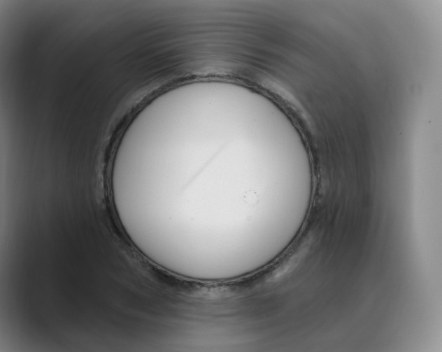 X0000088750978200706282202