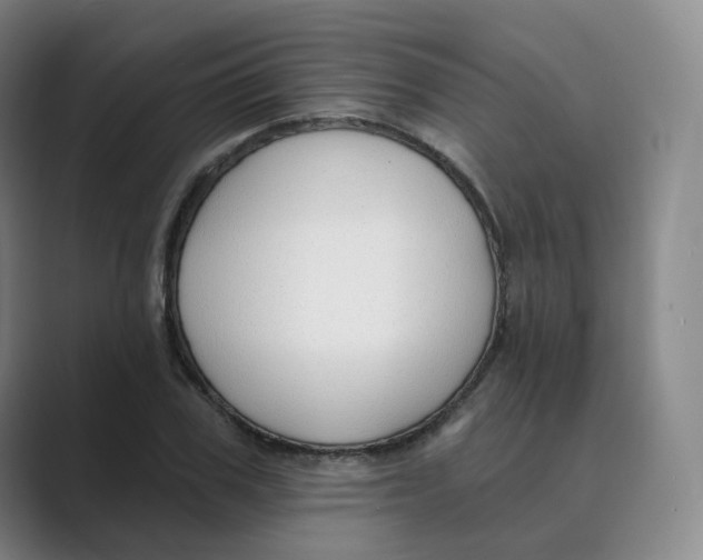 X0000088750979200706282202