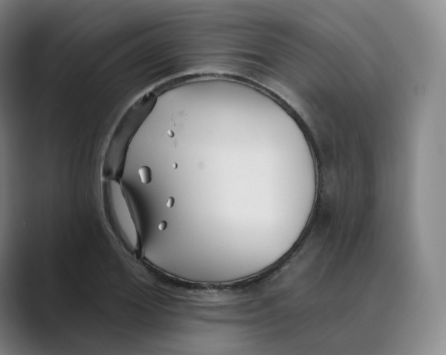 X0000088750980200706282202