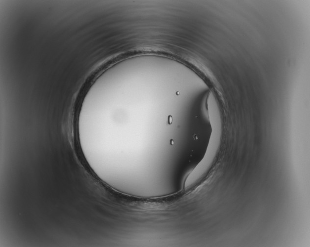 X0000088750984200706282202