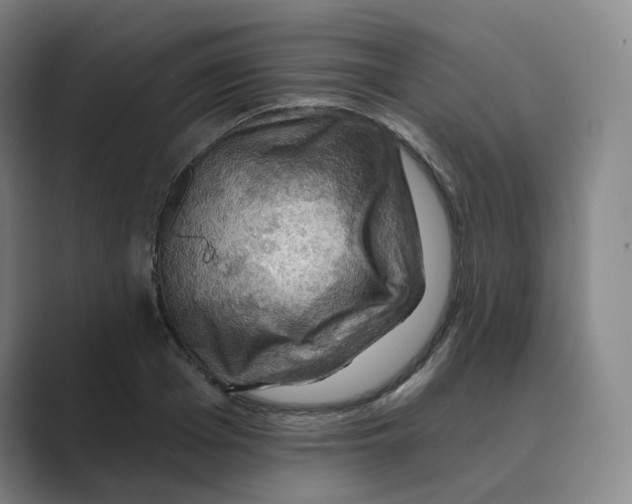 X0000088750985200706282202