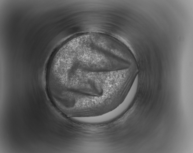 X0000088750987200706282202