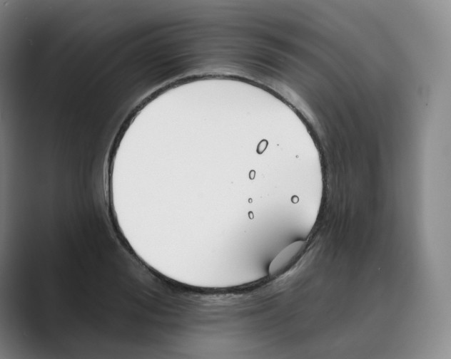 X0000088750988200706282202