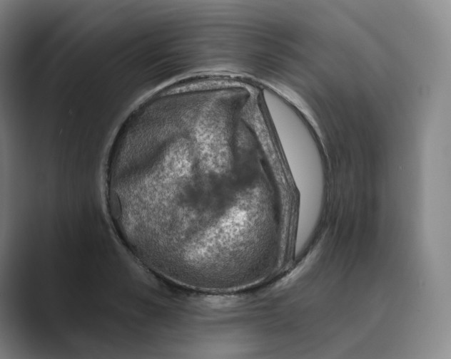 X0000088750989200706282202