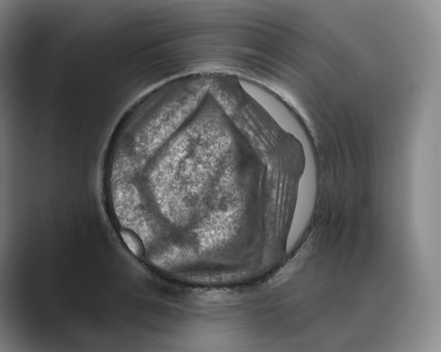 X0000088750991200706282201