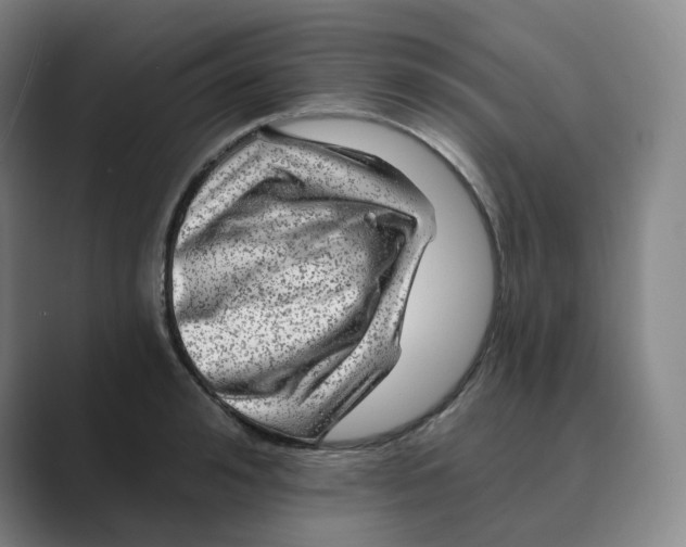 X0000088750992200706282201