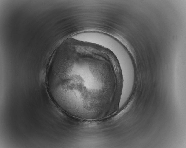 X0000088750993200706282201