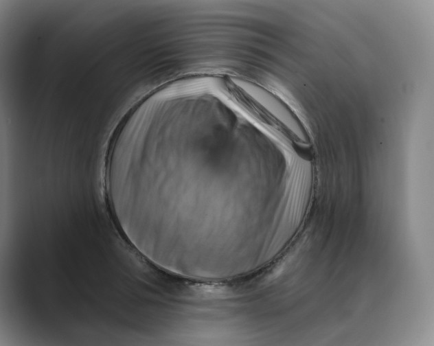 X0000088750994200706282201