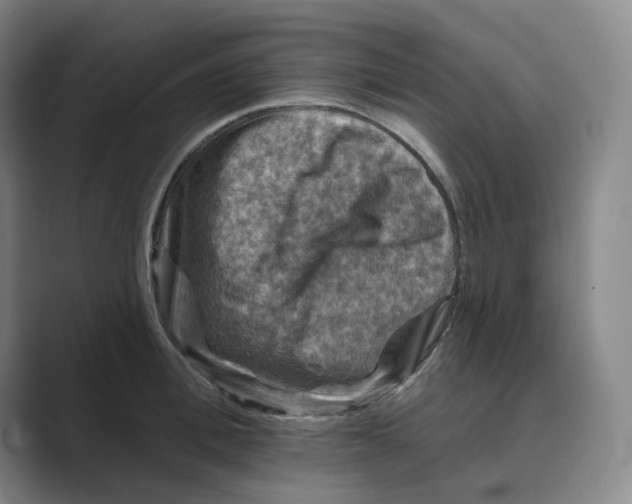 X0000088750996200706282201