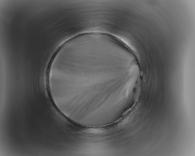 X0000088750998200706282201