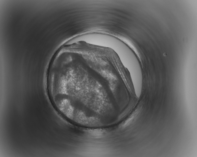 X0000088750999200706282201