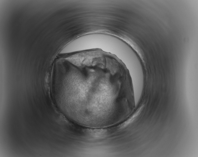 X0000088751001200706282201