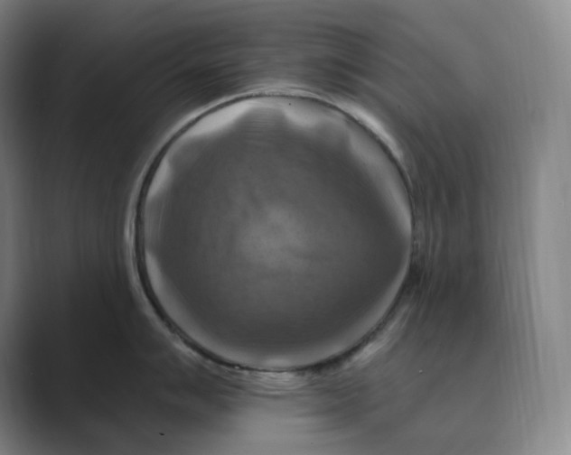 X0000088751007200706282201