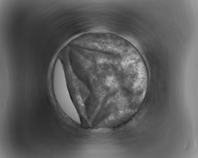 X0000088751008200706282201