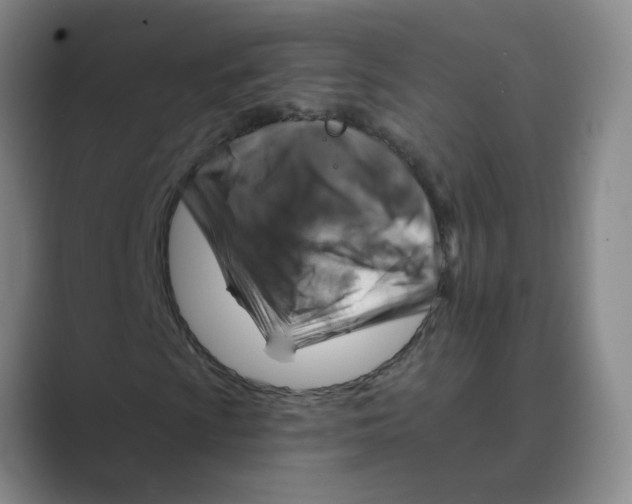 X0000088751009200706282201