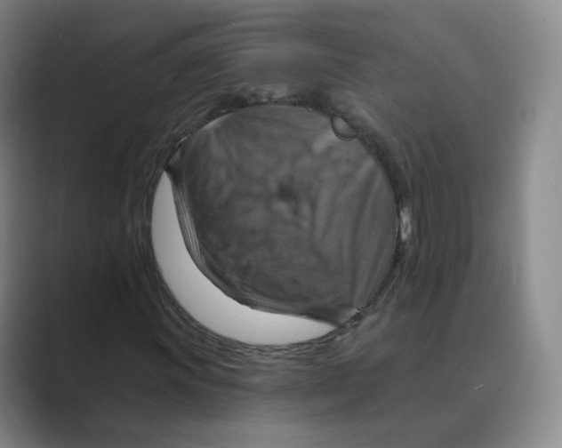 X0000088751011200706282201