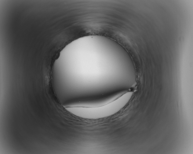 X0000088751012200706282201