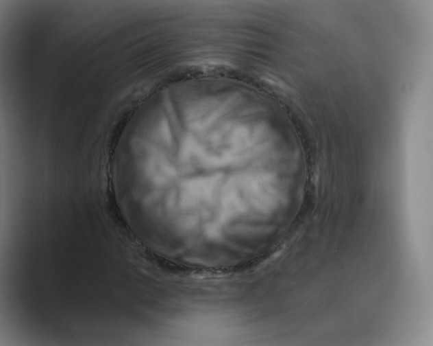 X0000088751014200706282201