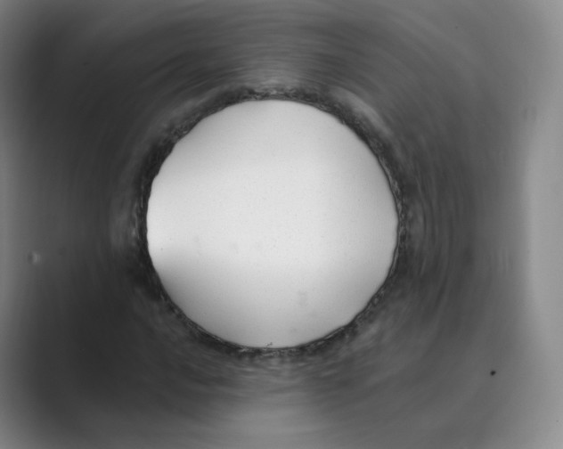 X0000088751016200706282201