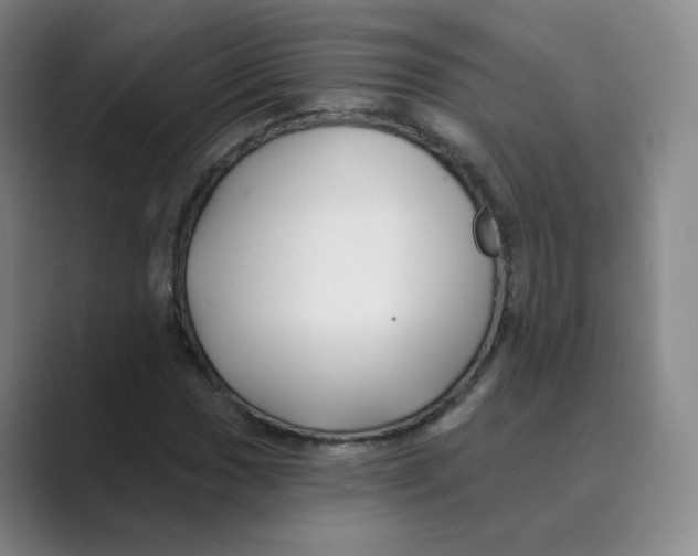 X0000088751017200706282201