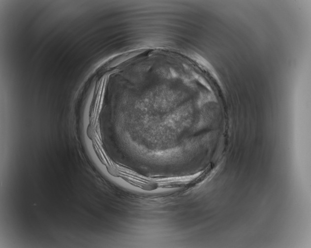 X0000088751019200706282201